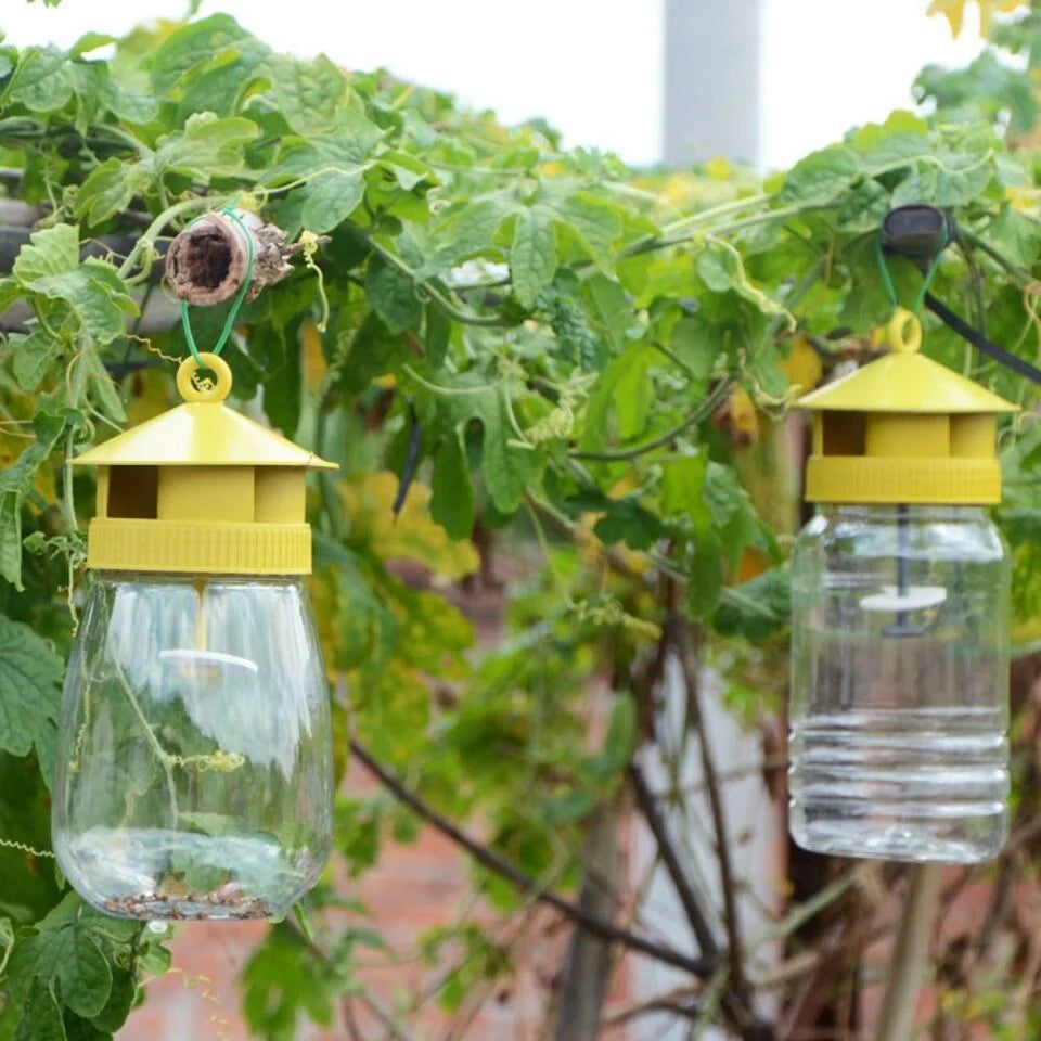 Piège à Mouches des Fruits en Plastique